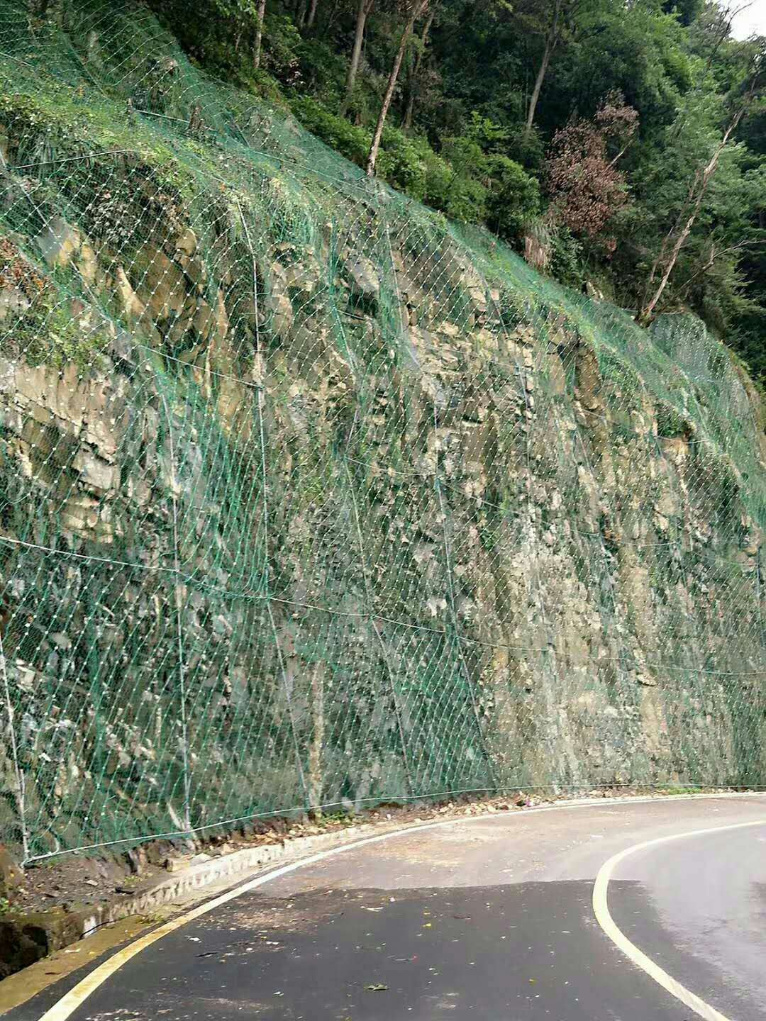 GPS1边坡主动防护网图片4